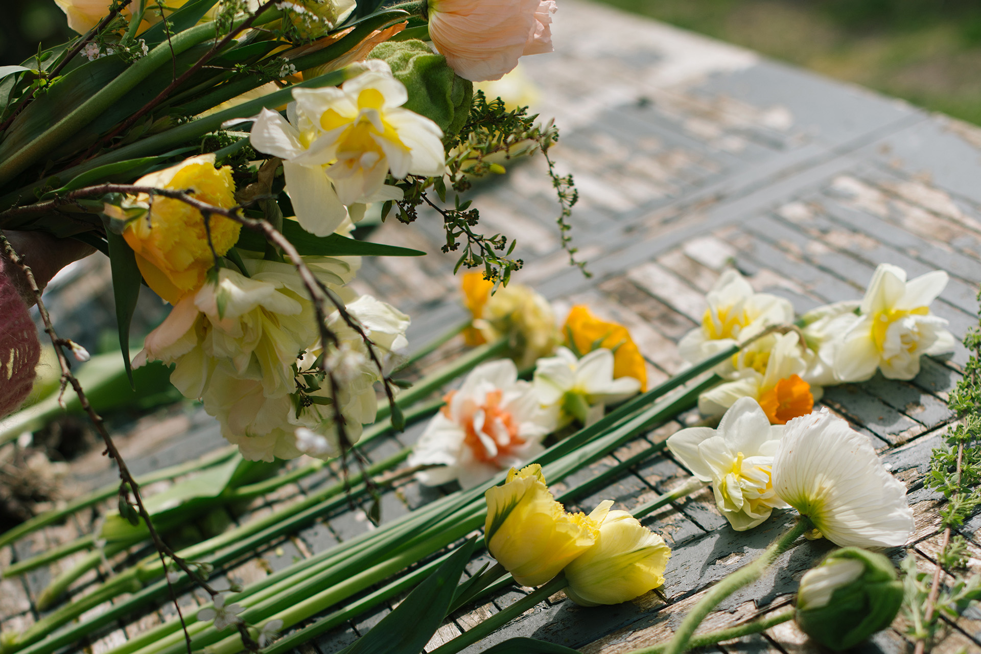 Yellow flowers laid out on table