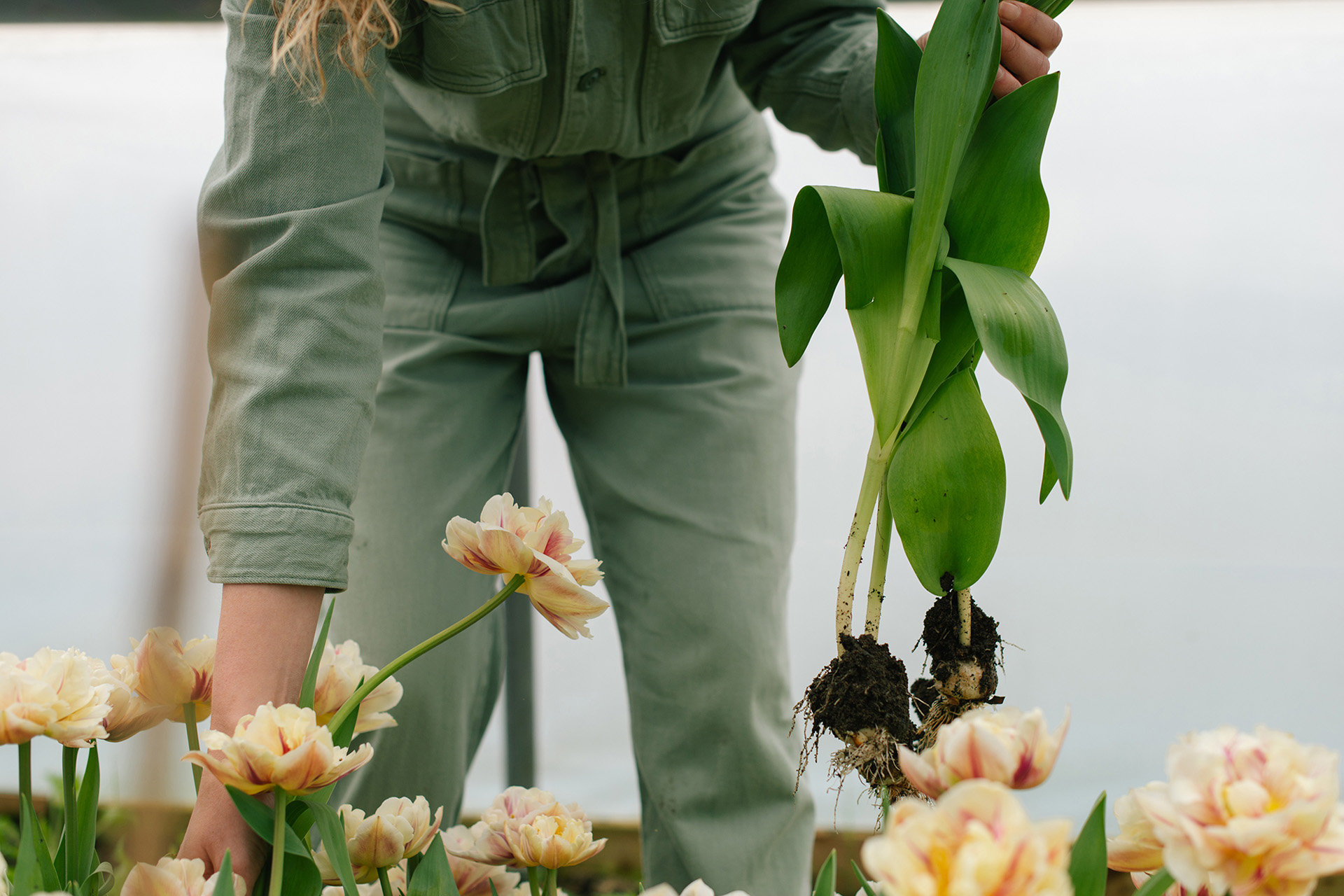 Hannah Bryce planting flowers