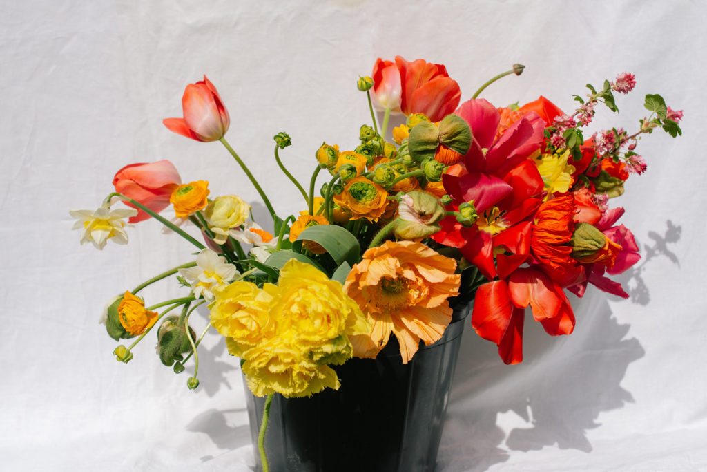 Where To Find The Best British Flowers - Culture