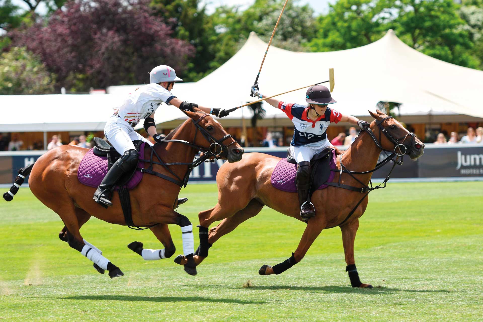 Chesterton's Polo In The Park