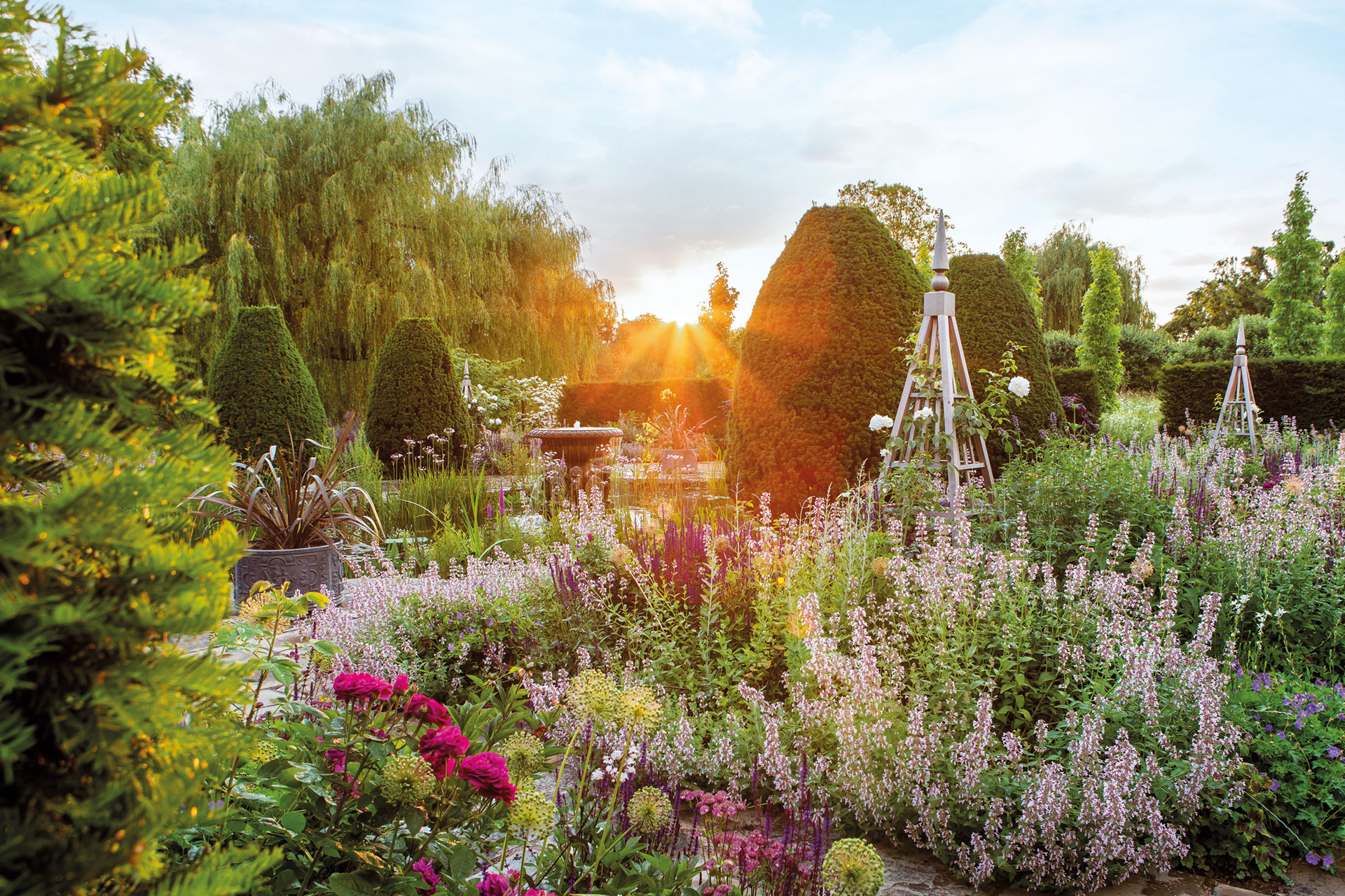 A garden filled with flowers