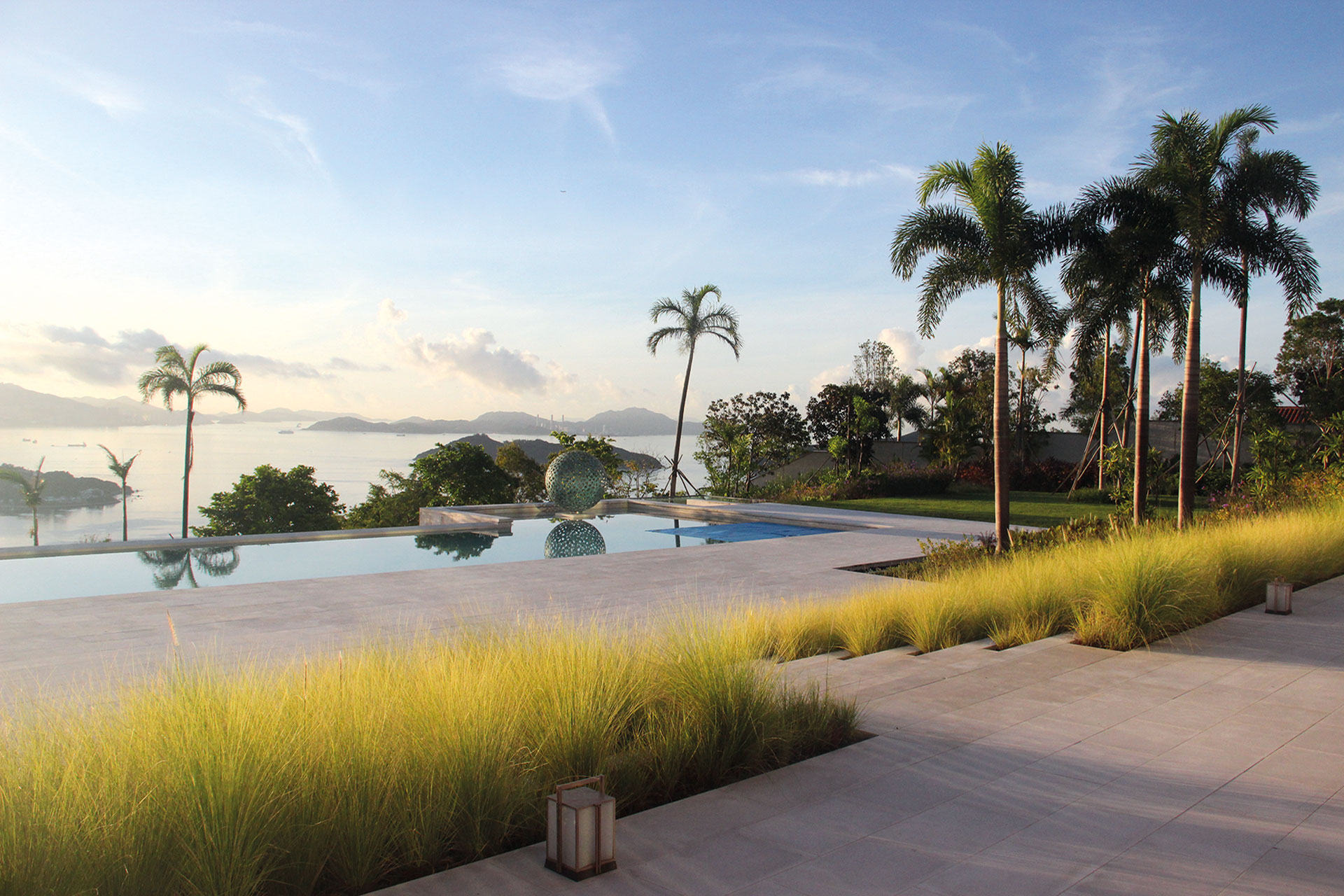 Palm trees by a pool