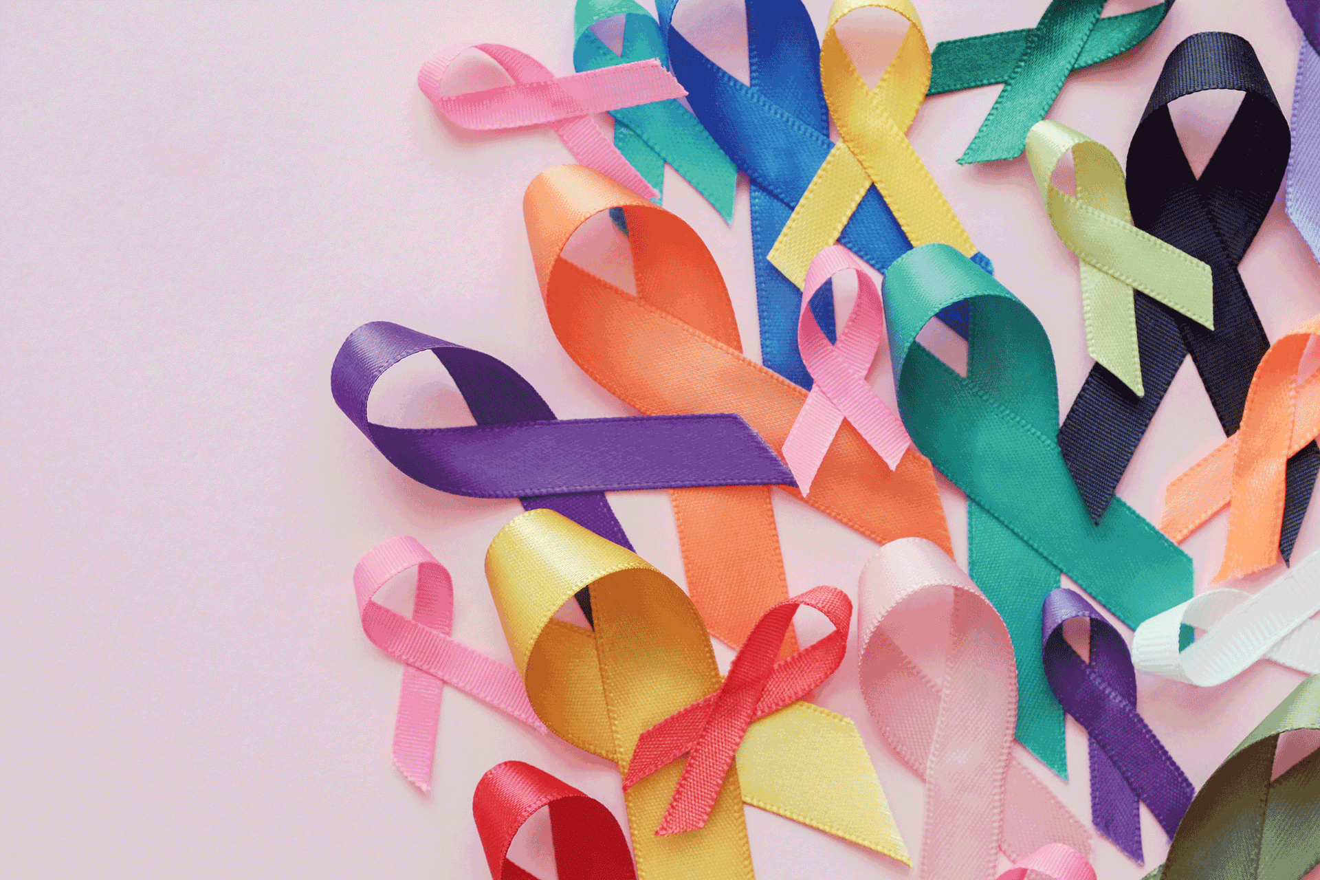 Colourful ribbons on a pink background.