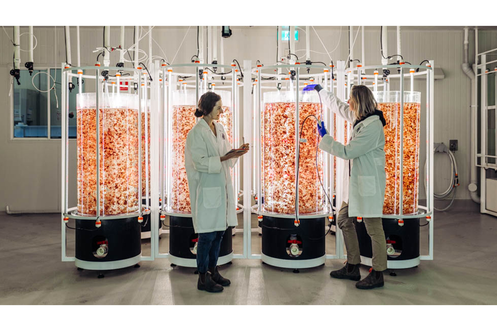 People in lab coats stood in front of tanks