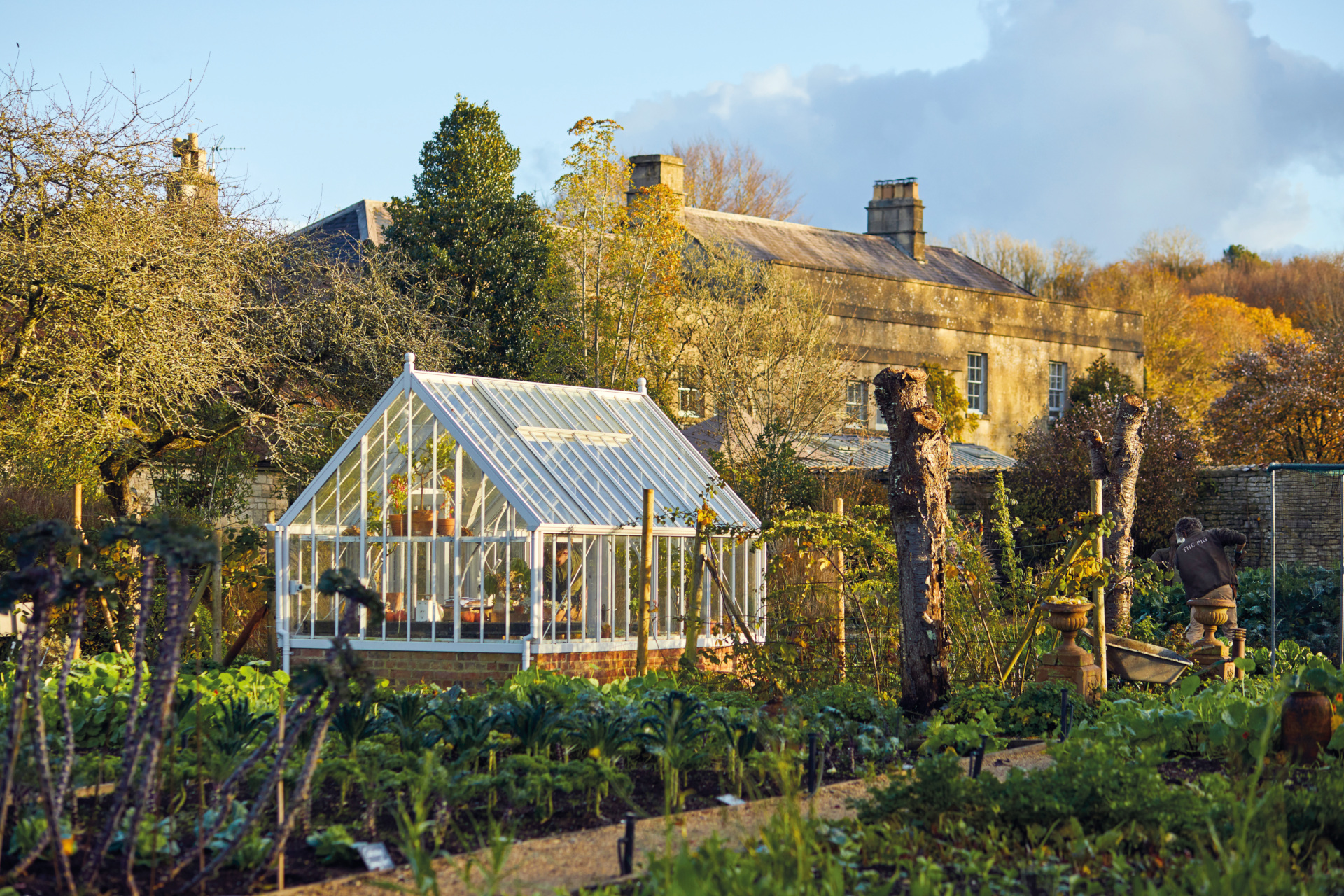 Greenhouse in garden