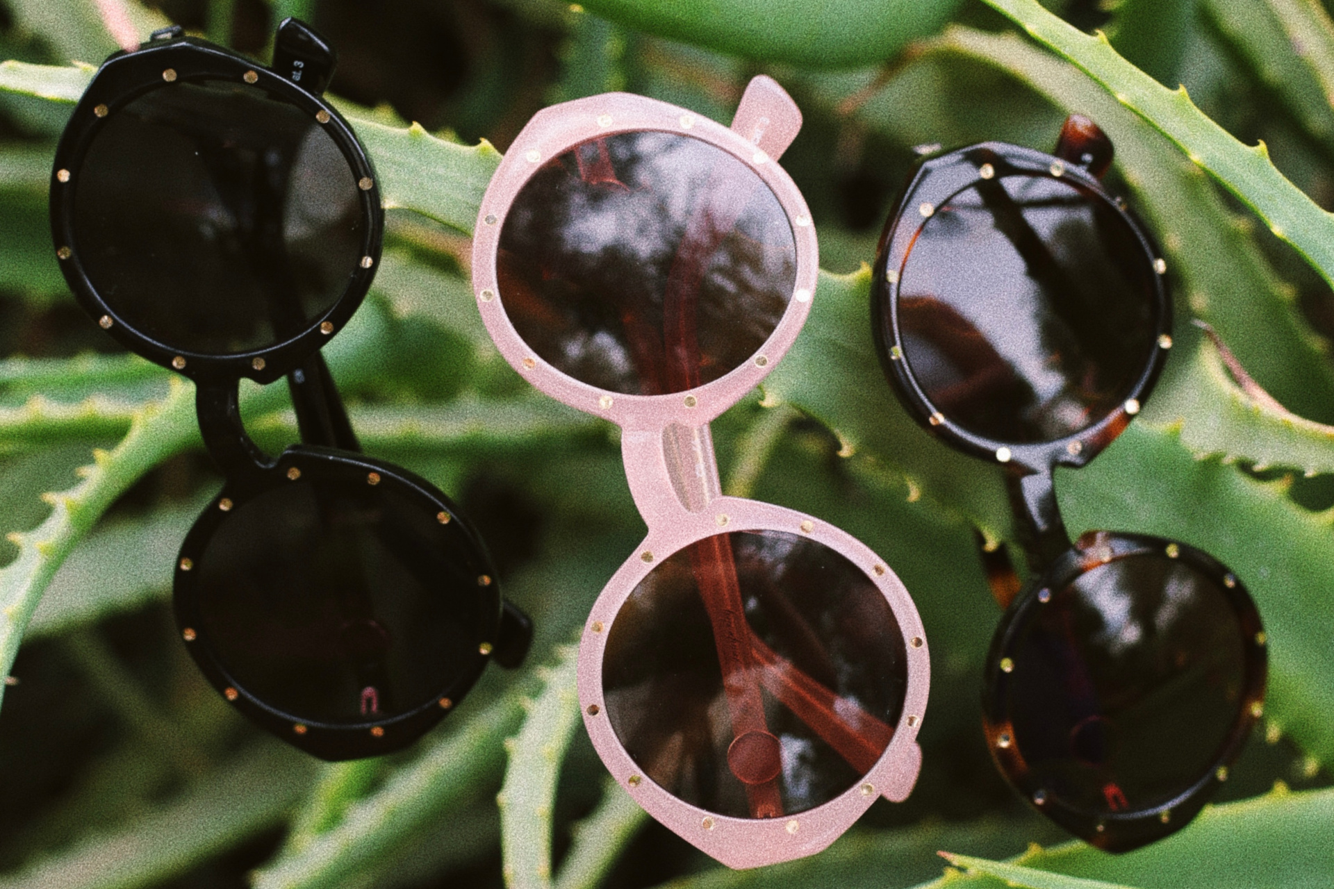 Sunglasses lined up in front of green leaves