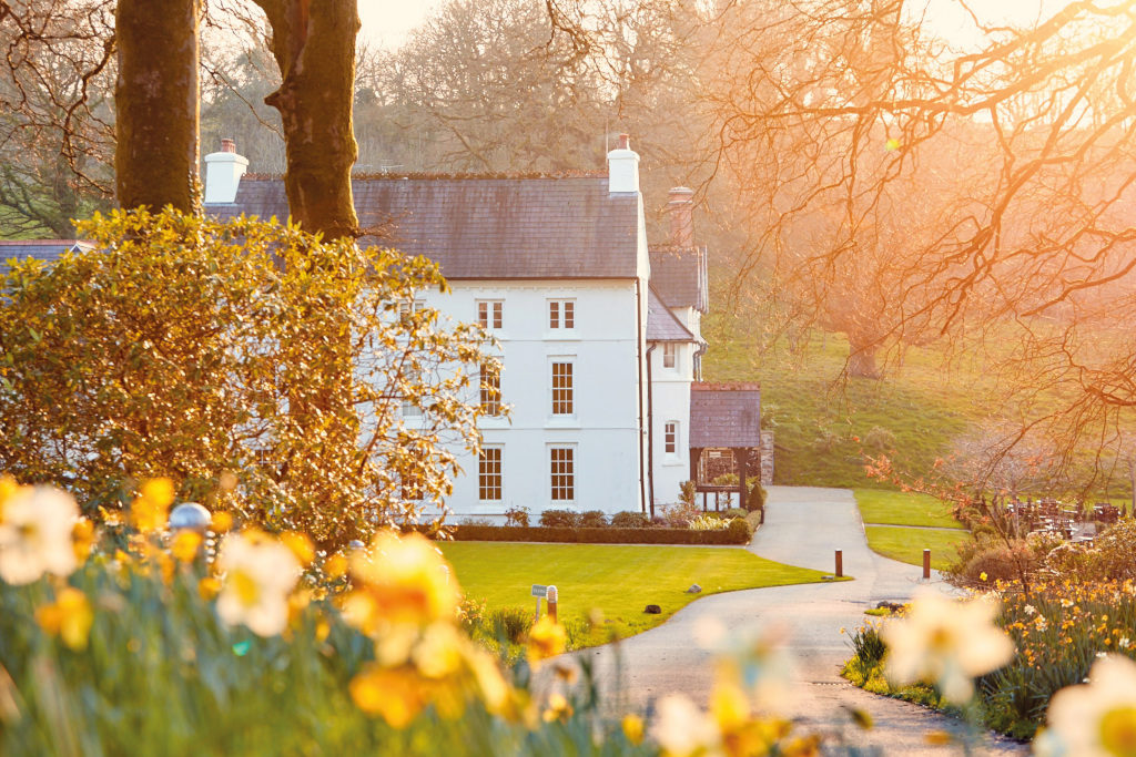 White historic house in parkland with flowers
