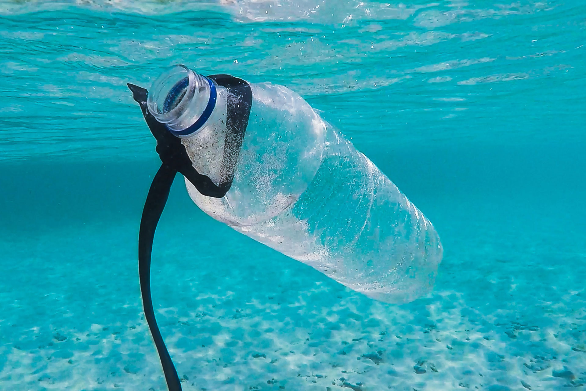 plastic water bottle in the ocean