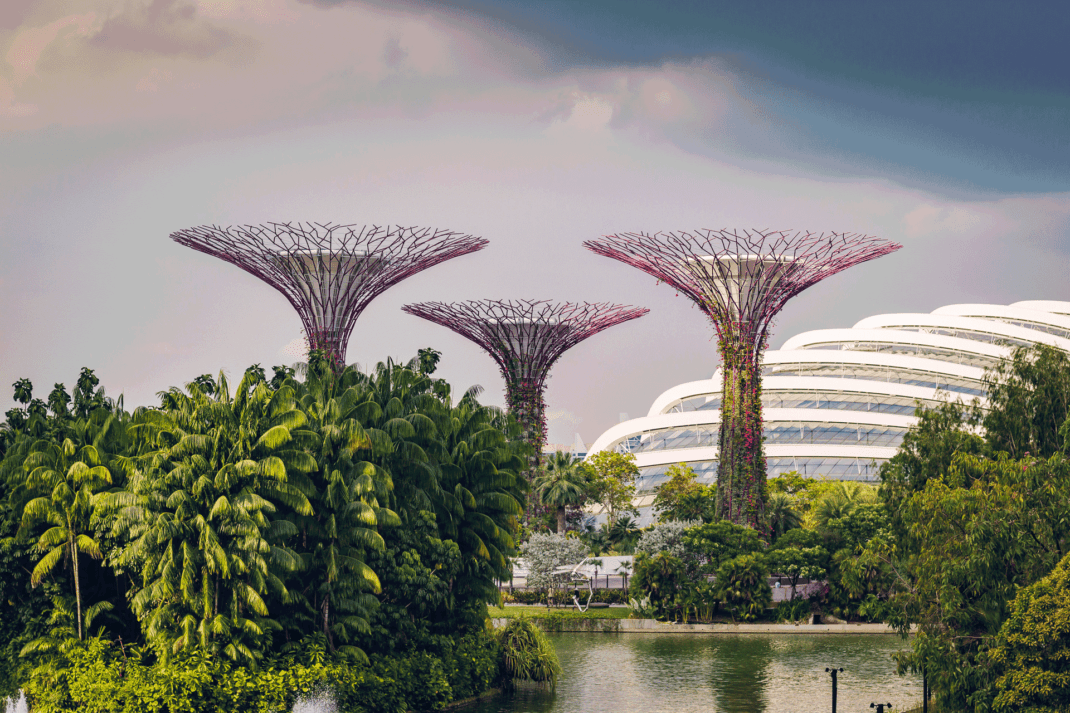 Urban greenery in Singapore.