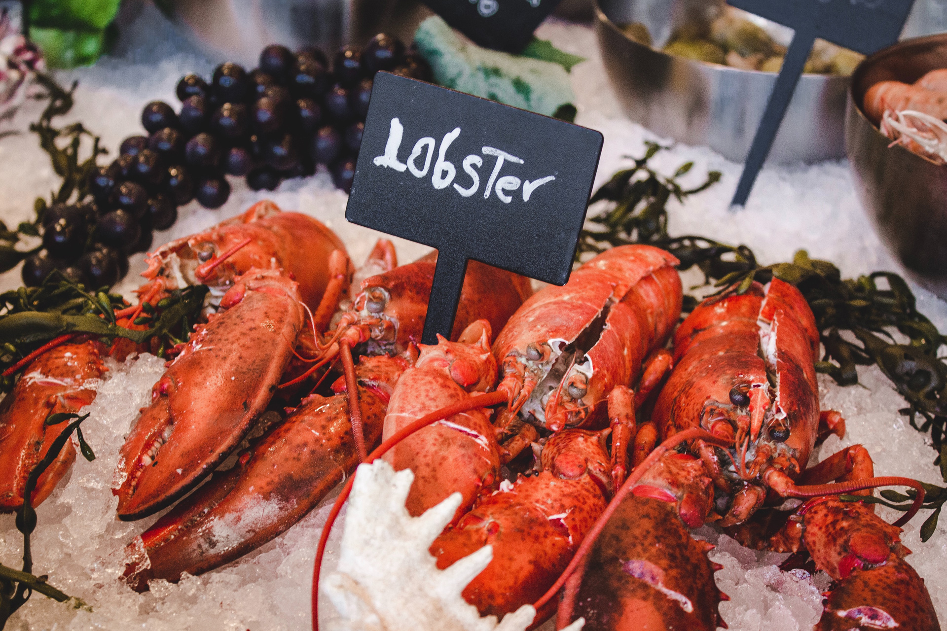 2 Seafood Recipes For Spring