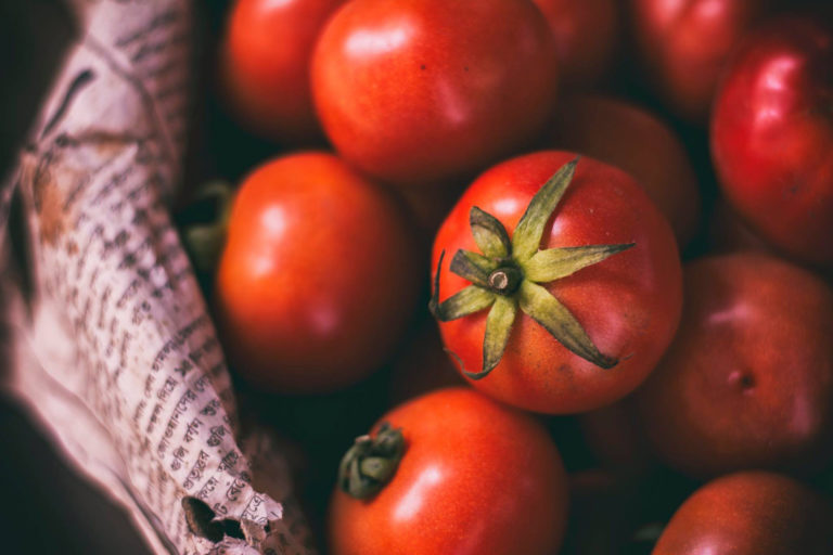 British Tomato Fortnight: Top Tips For Growing Your Own