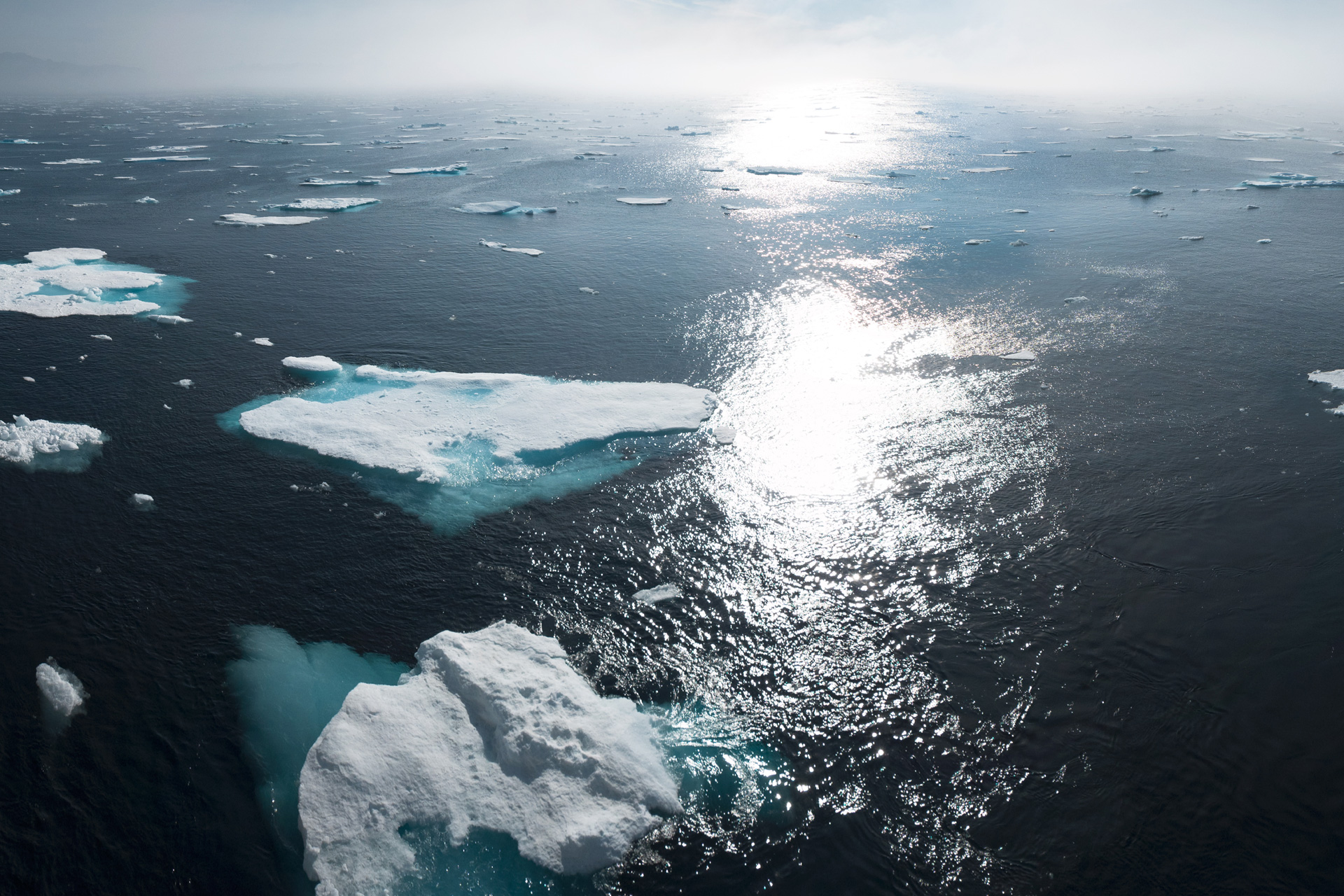The 1.5°C Temperature Increase: What Will the Impact Be?