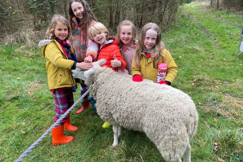 Netflix Debut for Brentwood School