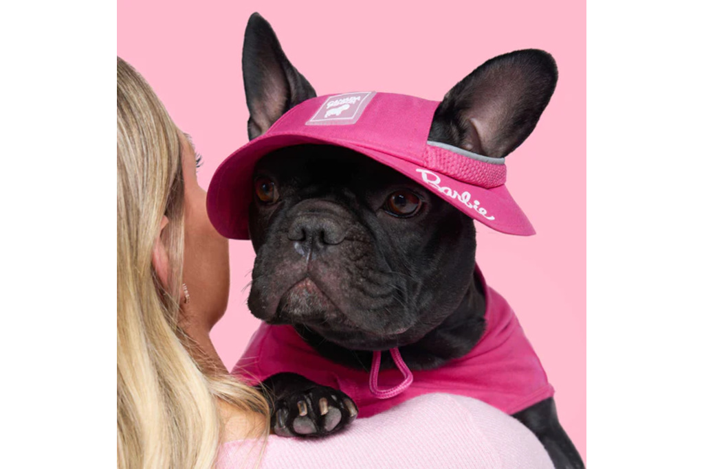 Dog in pink hat