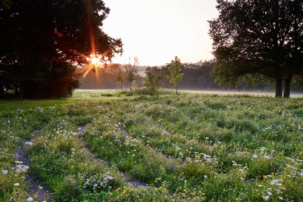 Wild countryside landscape