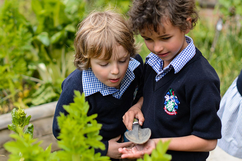 Millfield Prep gardening