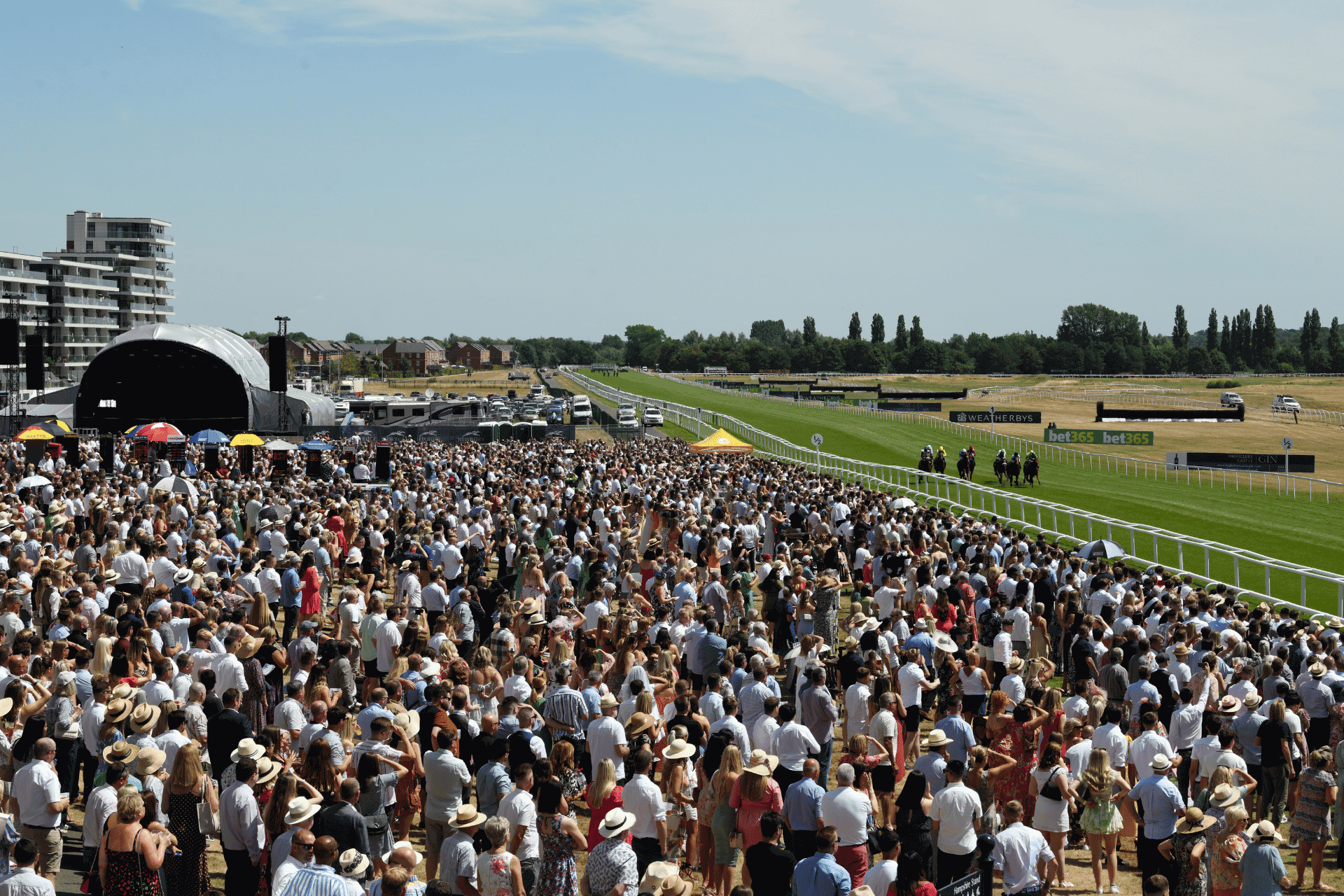 Horse racing at Newbury Raceccourse.