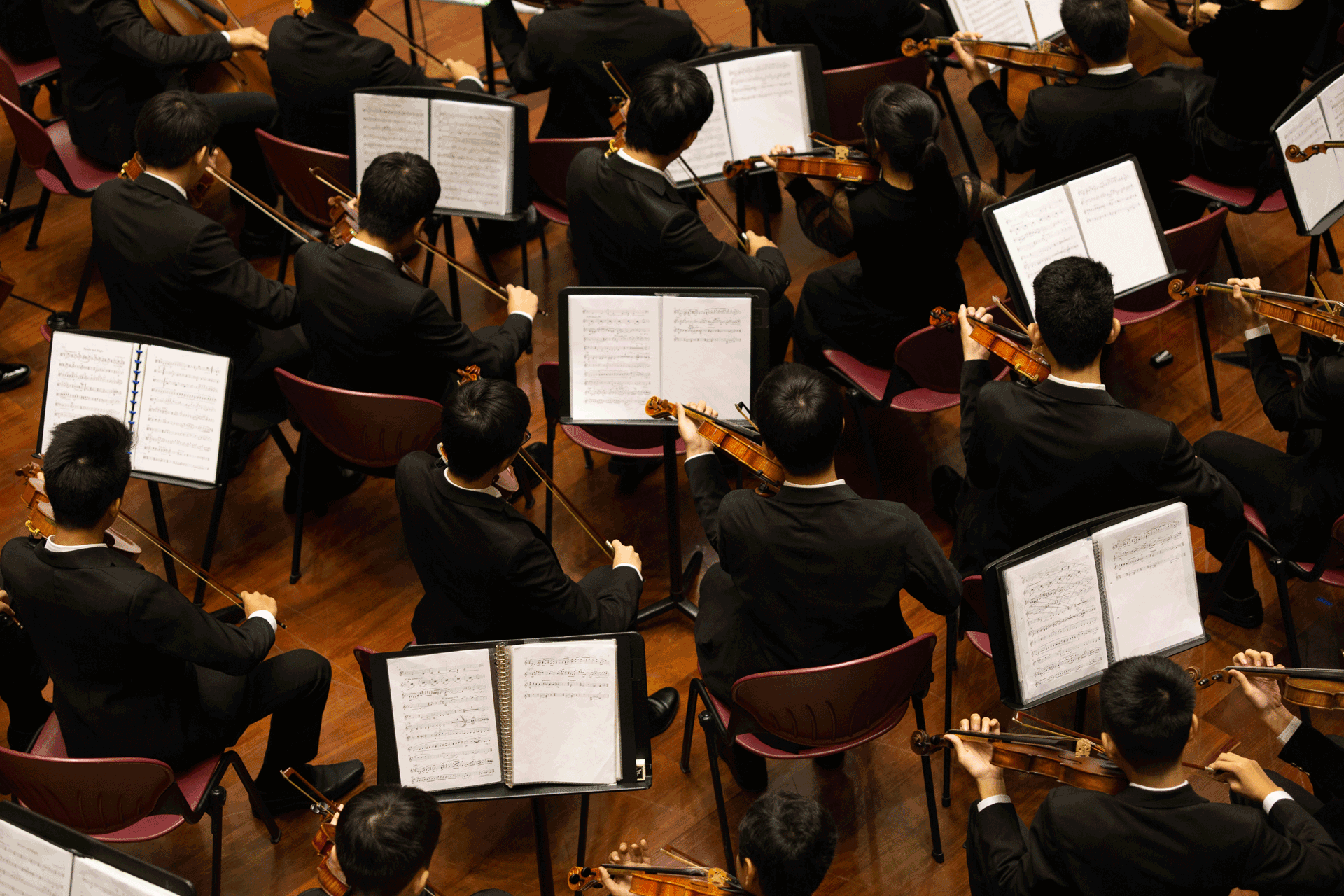 Orchestra with sheets of music in front of them.