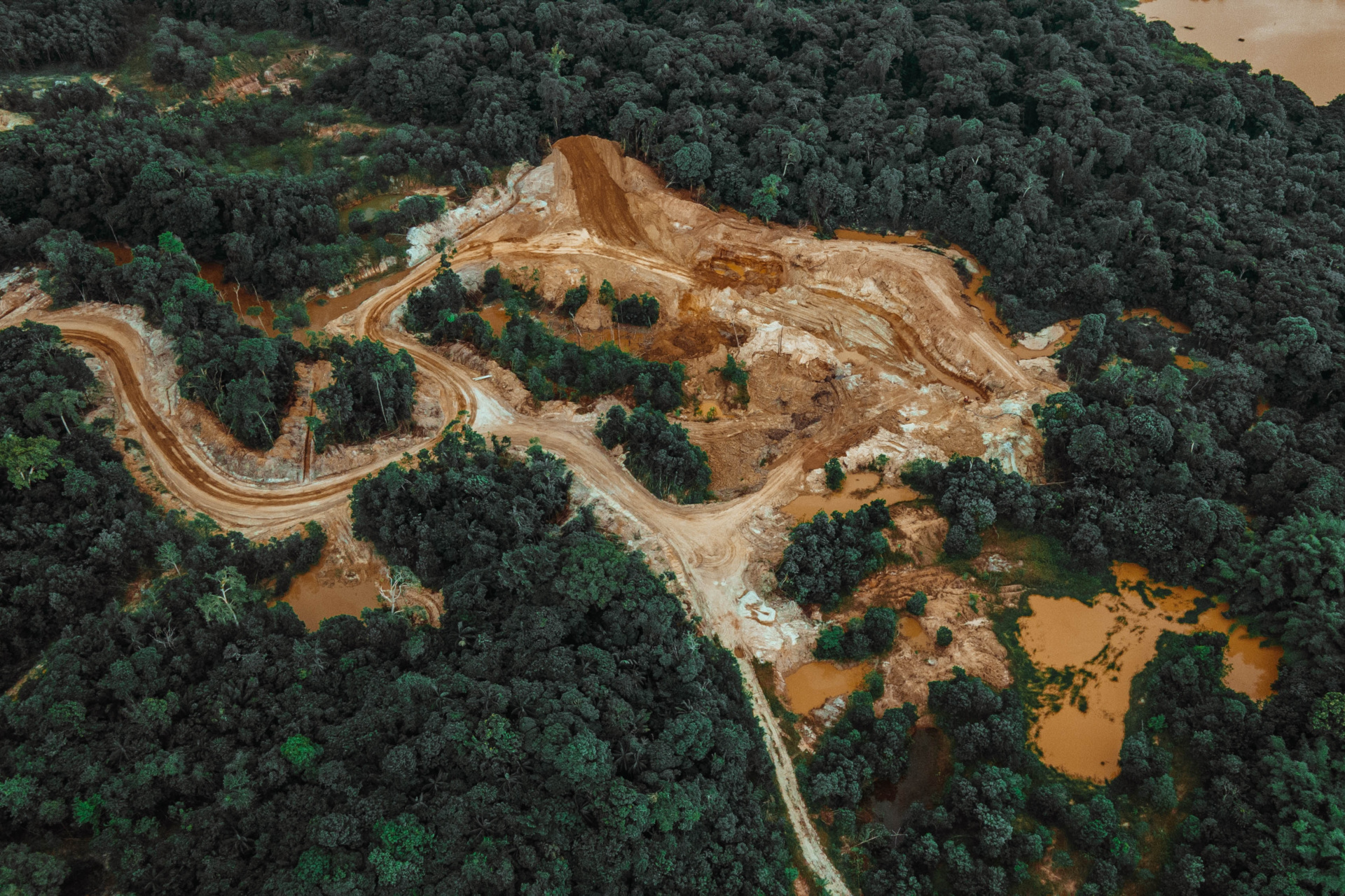 Overhead view of deforested area