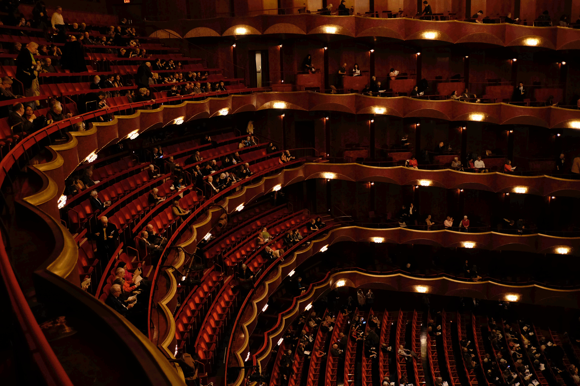 Seats in the Royal Albert Hall.