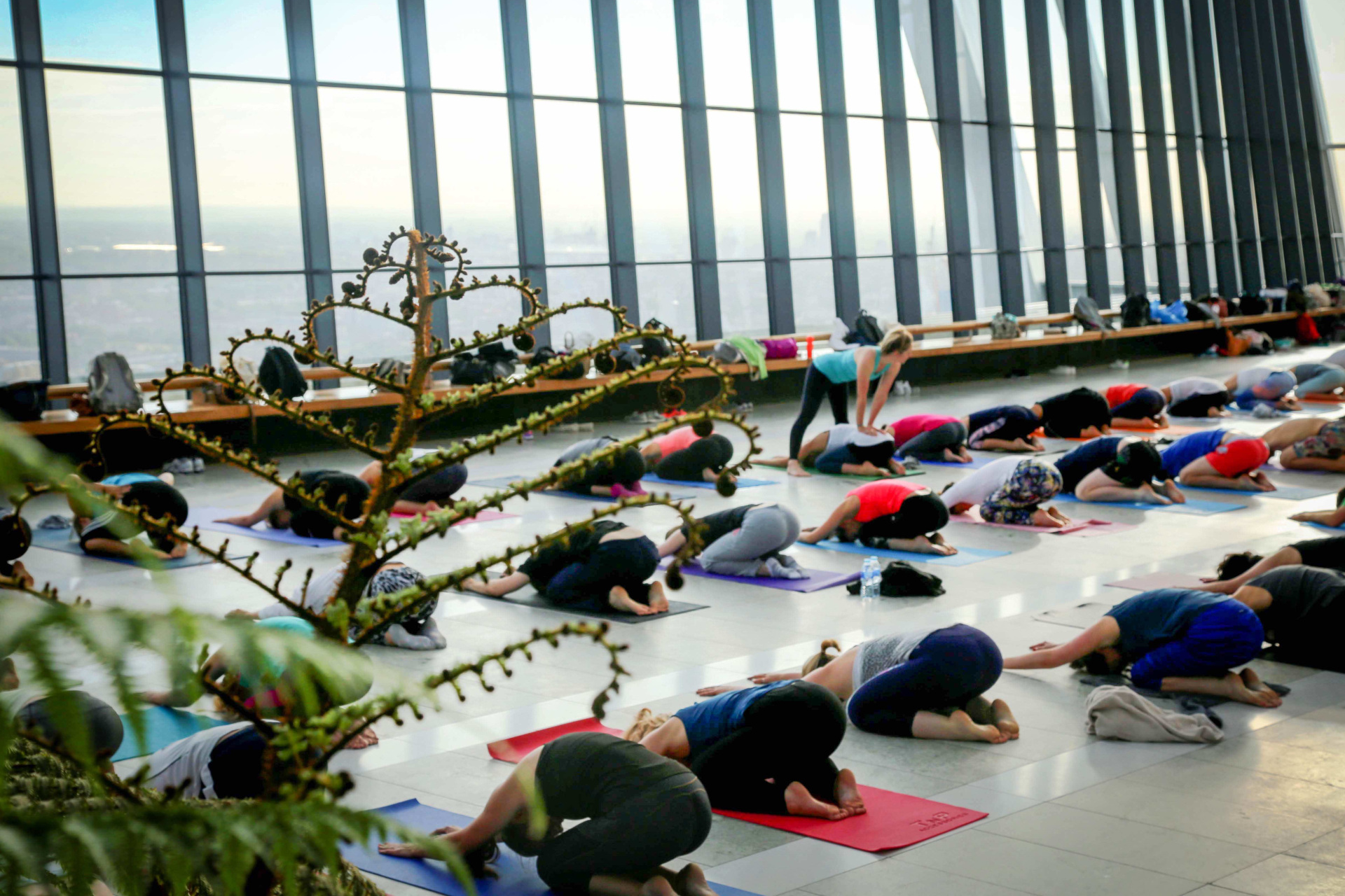 People doing yoga in front of huge windows