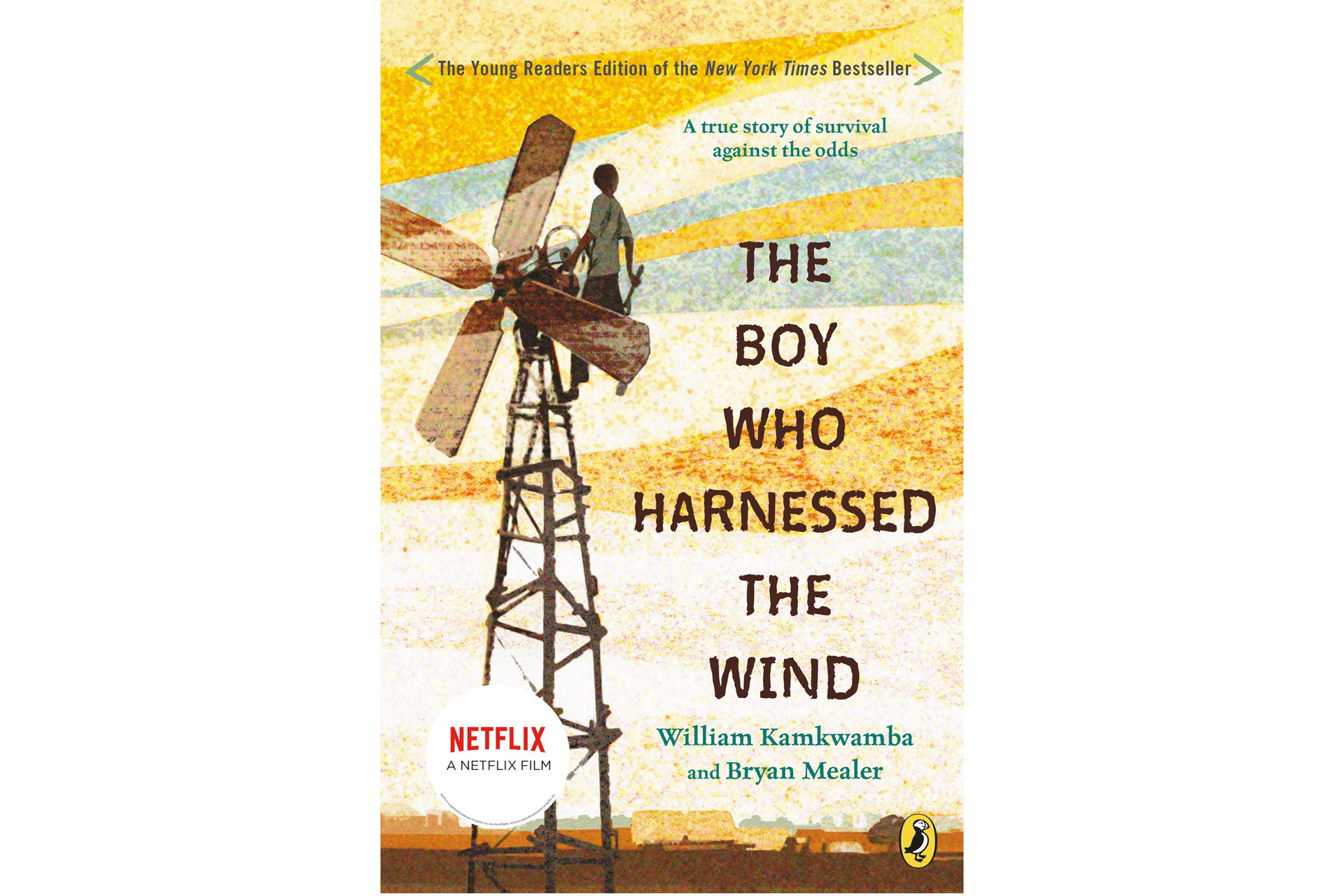 The Boy Who Harnessed The Wind book cover, a book about climate change
