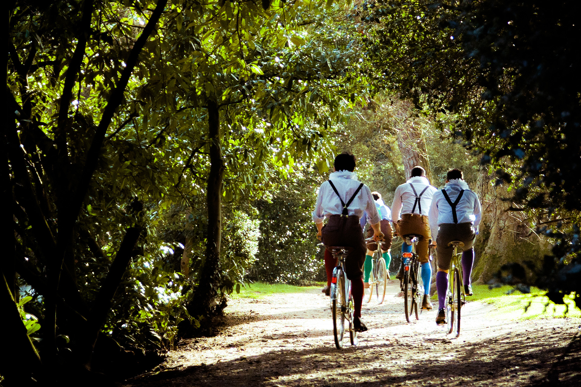 The HandleBards cycling on a tree lined road