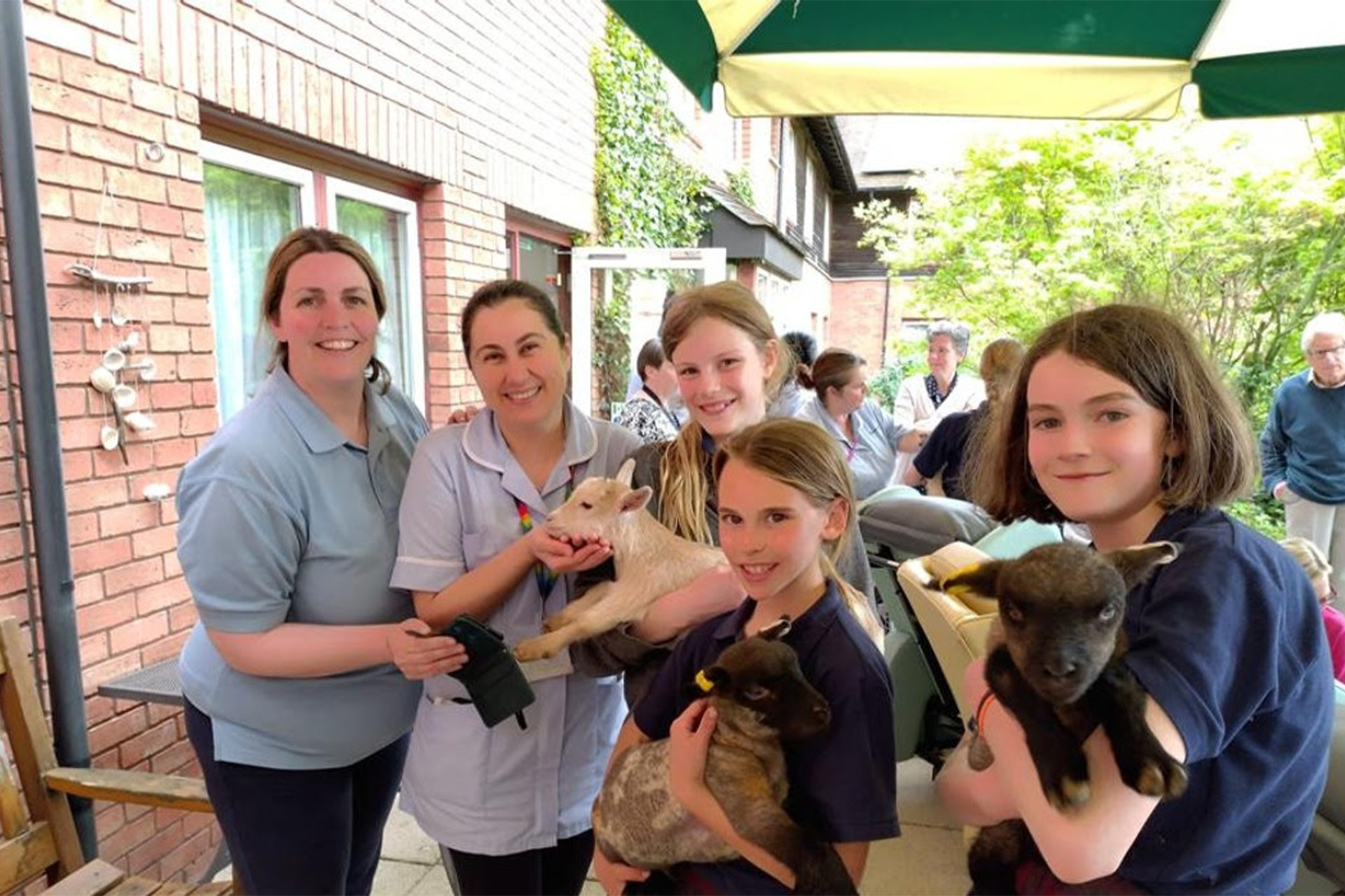 Farm Animals Visit Ledbury Community Hospital