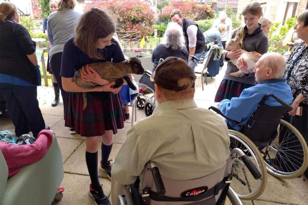 Patients enjoy meeting pupils, lambs and pygmy goats from the Elms School