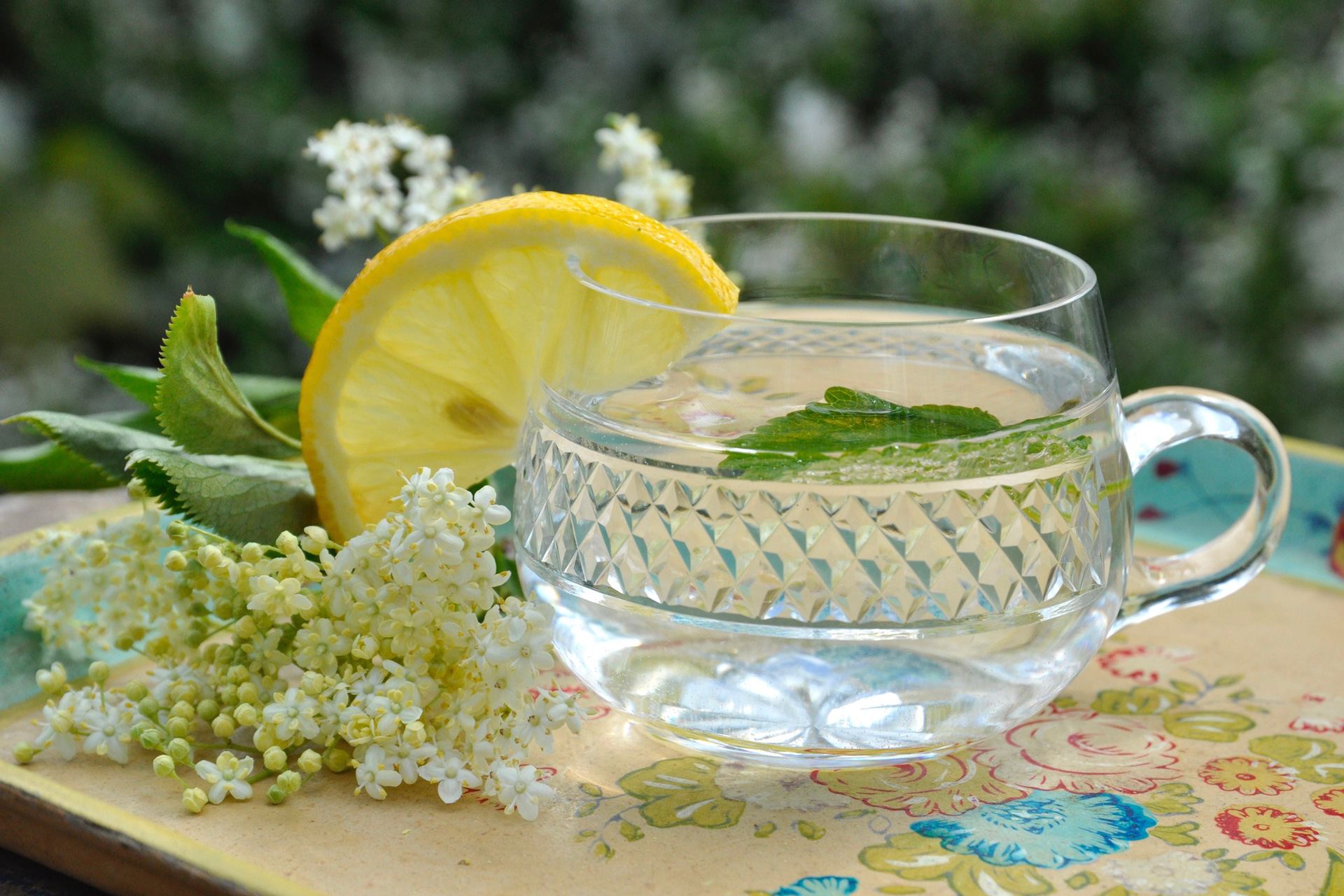 Elderflower