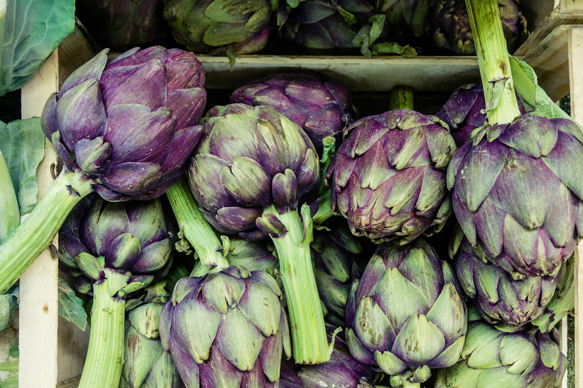 Artichokes