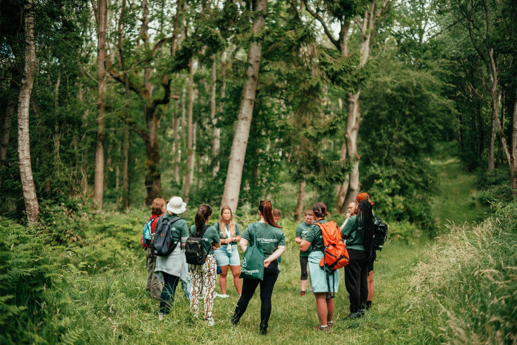 Teach Earth group standing in circle in the woods - credit Yoke