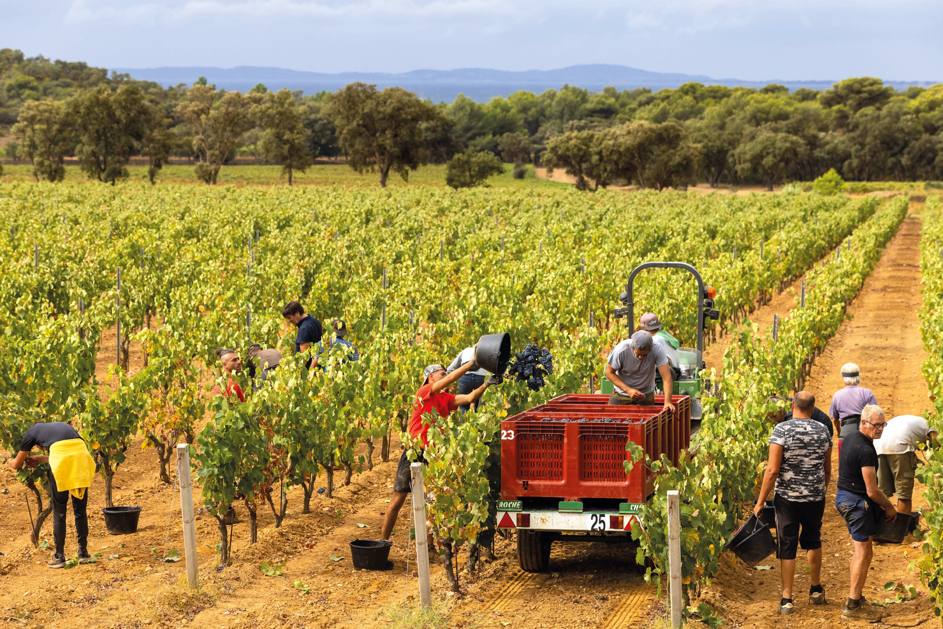 Inside Château Léoube, the Bamfords’ Eco-Minded Winery in Provence