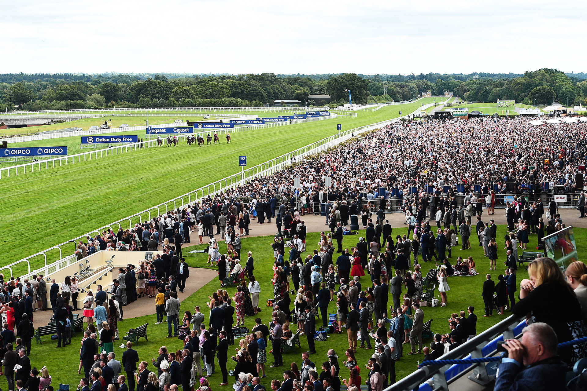 The Dubai Duty Free Shergar Cup