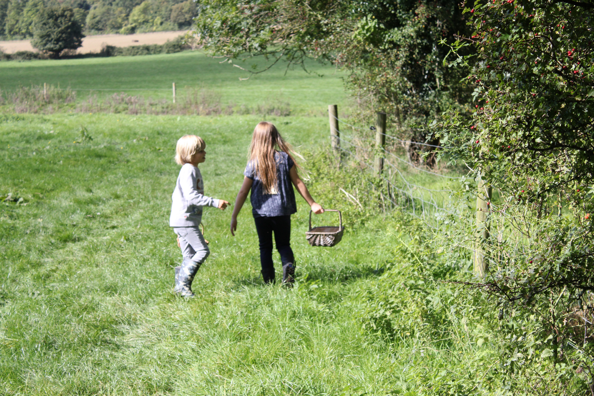 Boy and girl walking in field