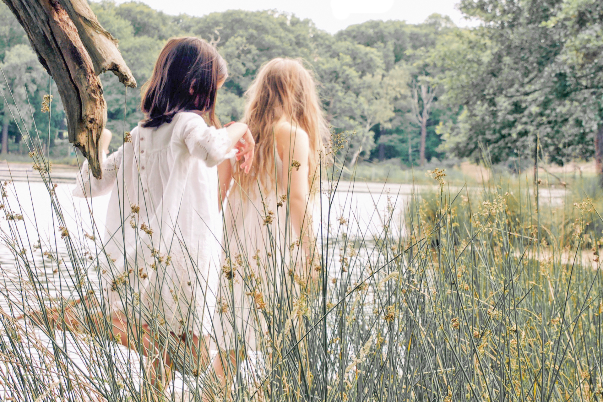 Kids walking through reeds