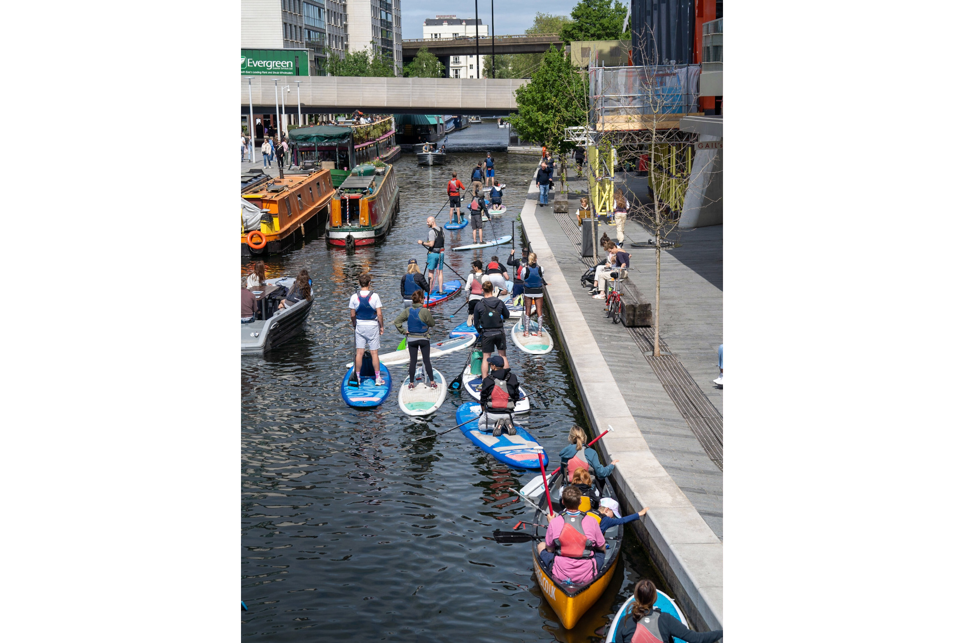 People paddle boarding down river