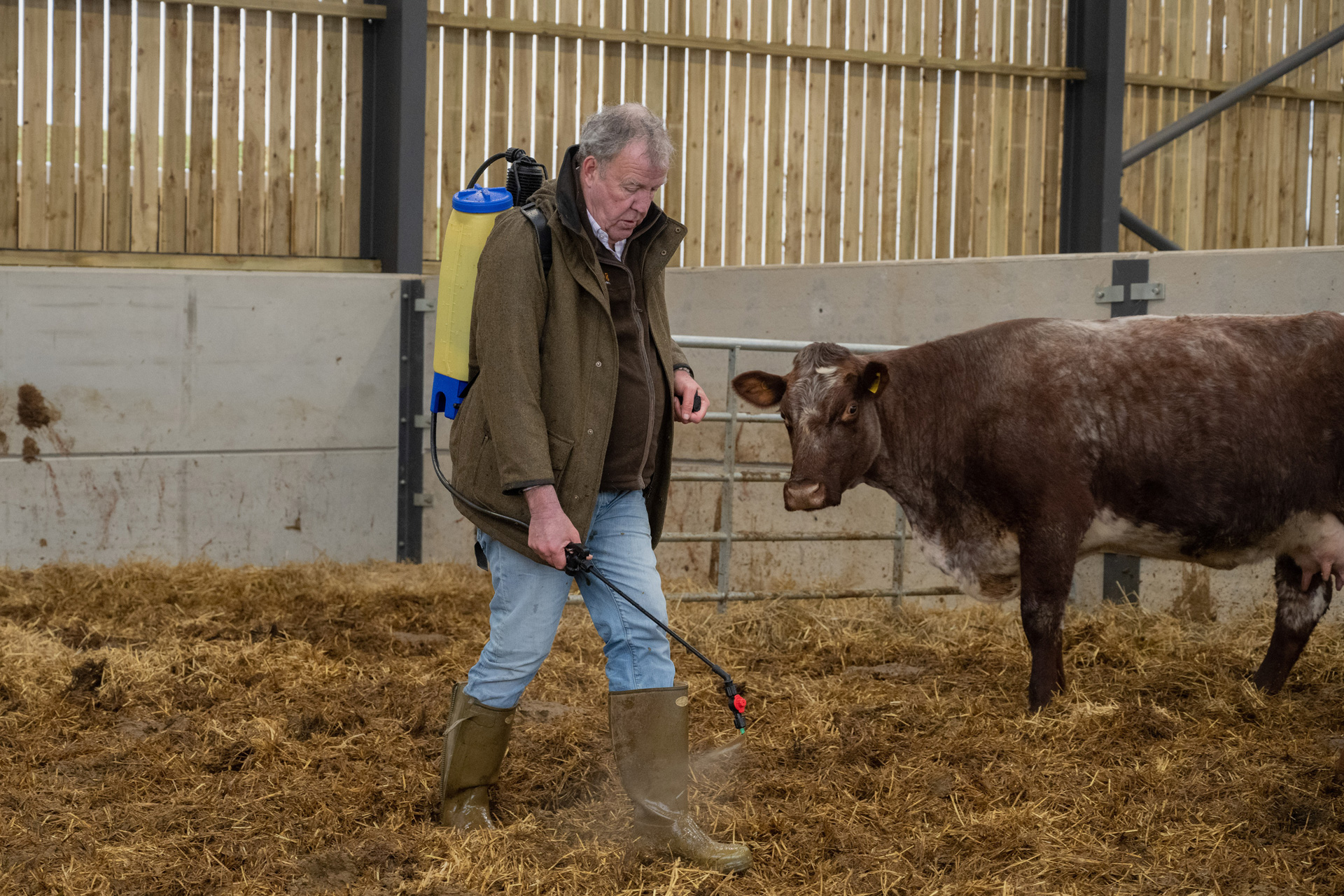 Jeremy Clarkson with a cow