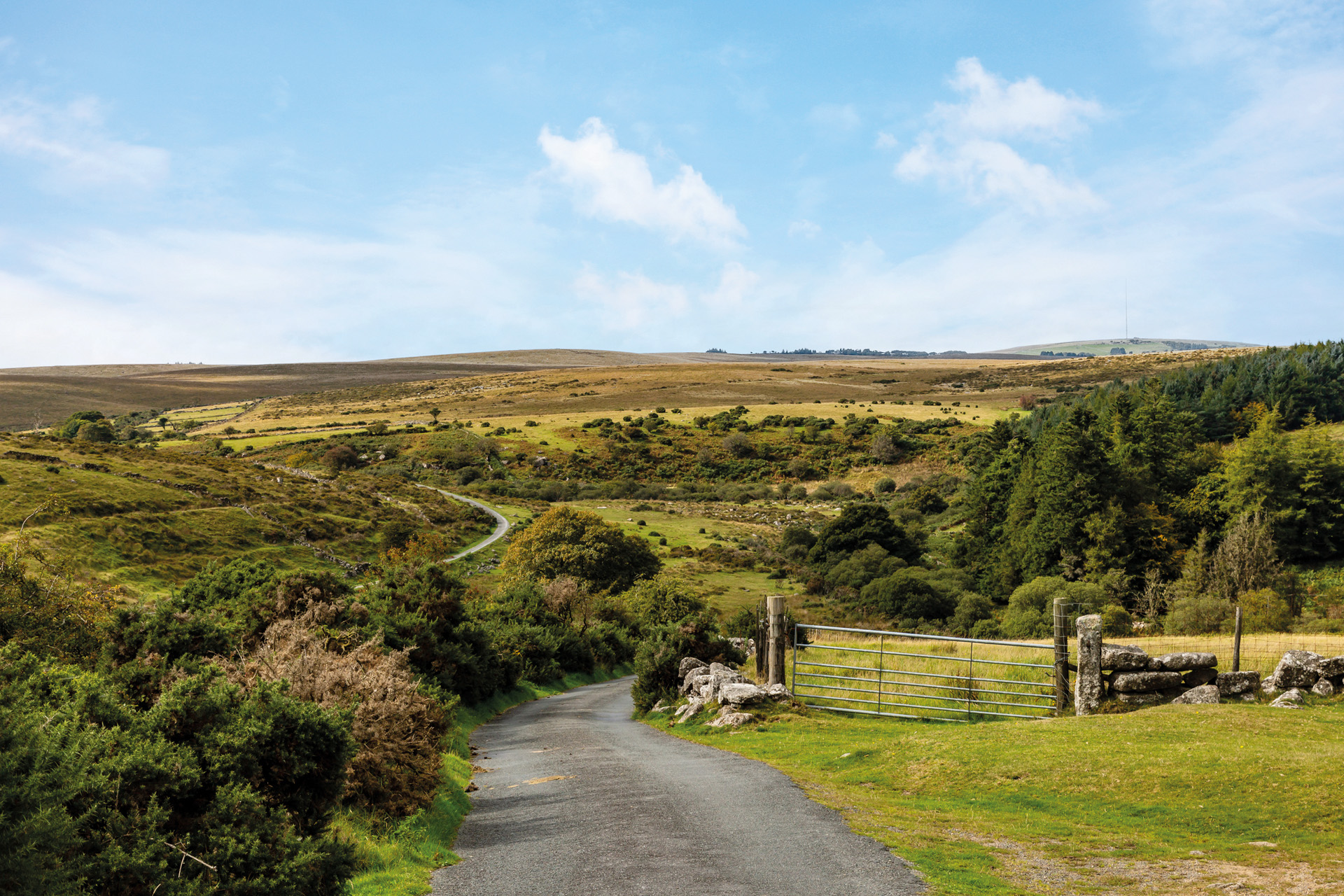 A view down a country road in Dartmoor National Park in Devon