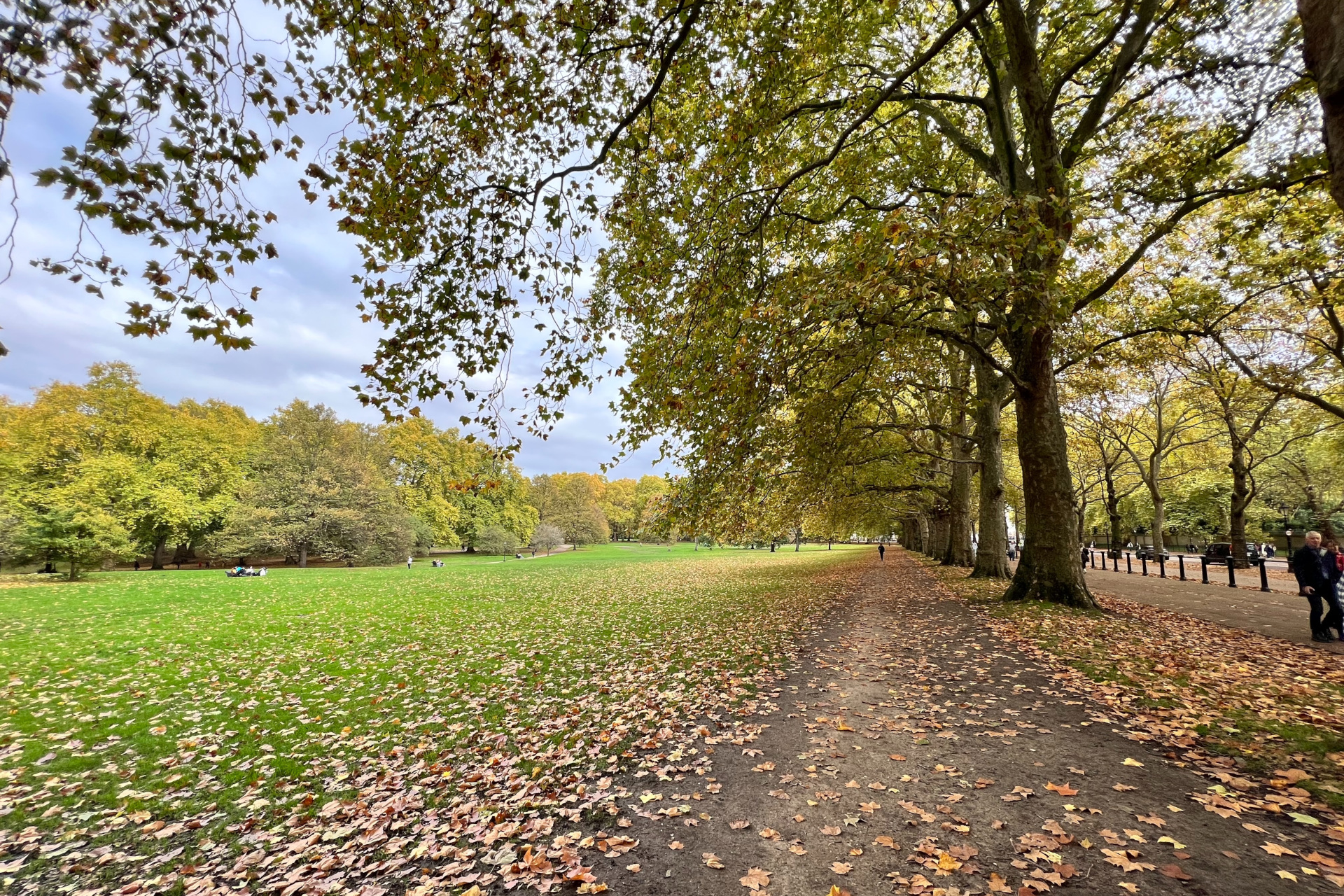 Park with trees