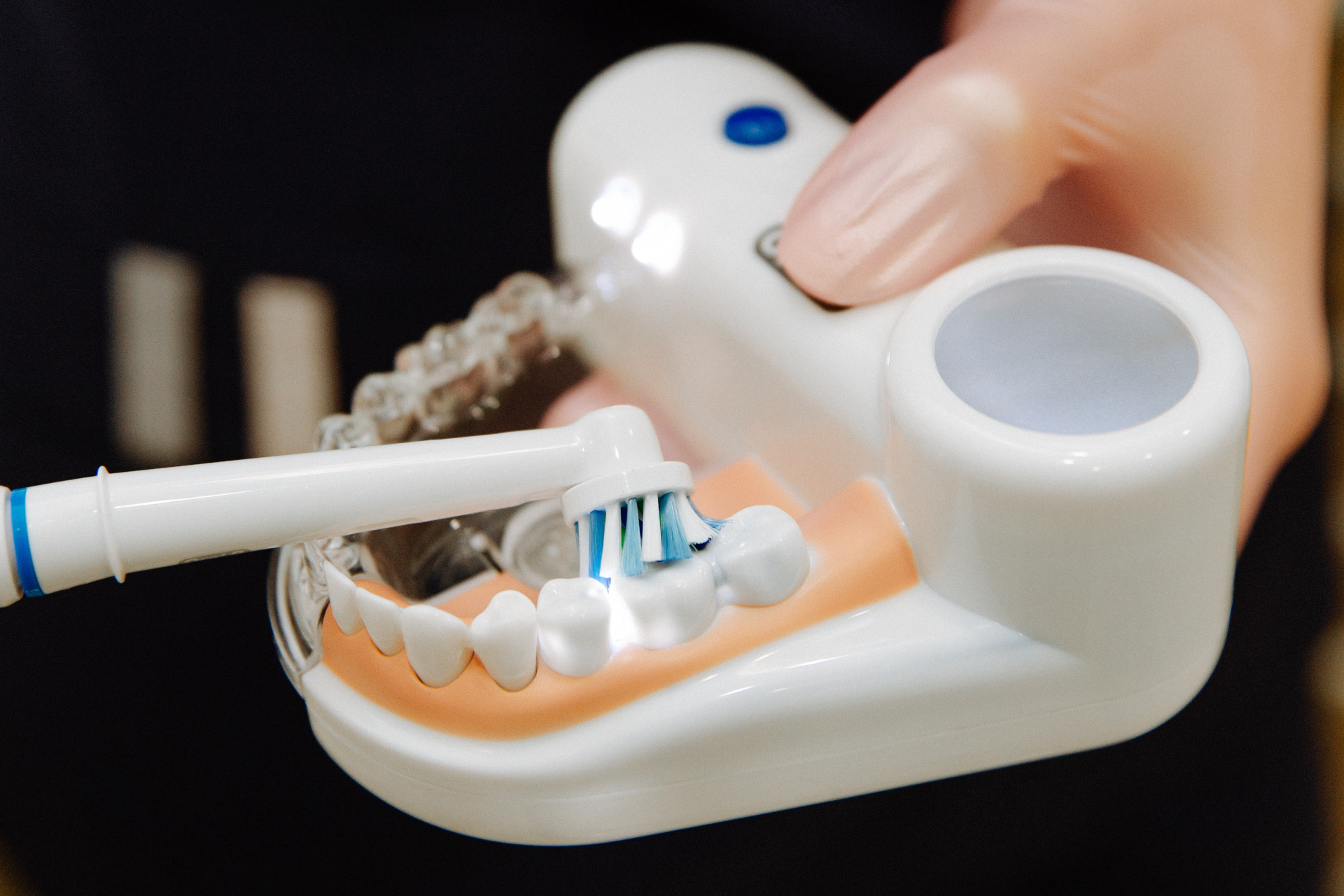 Dentist demonstrating how to use electric toothbrush on model set of teeth