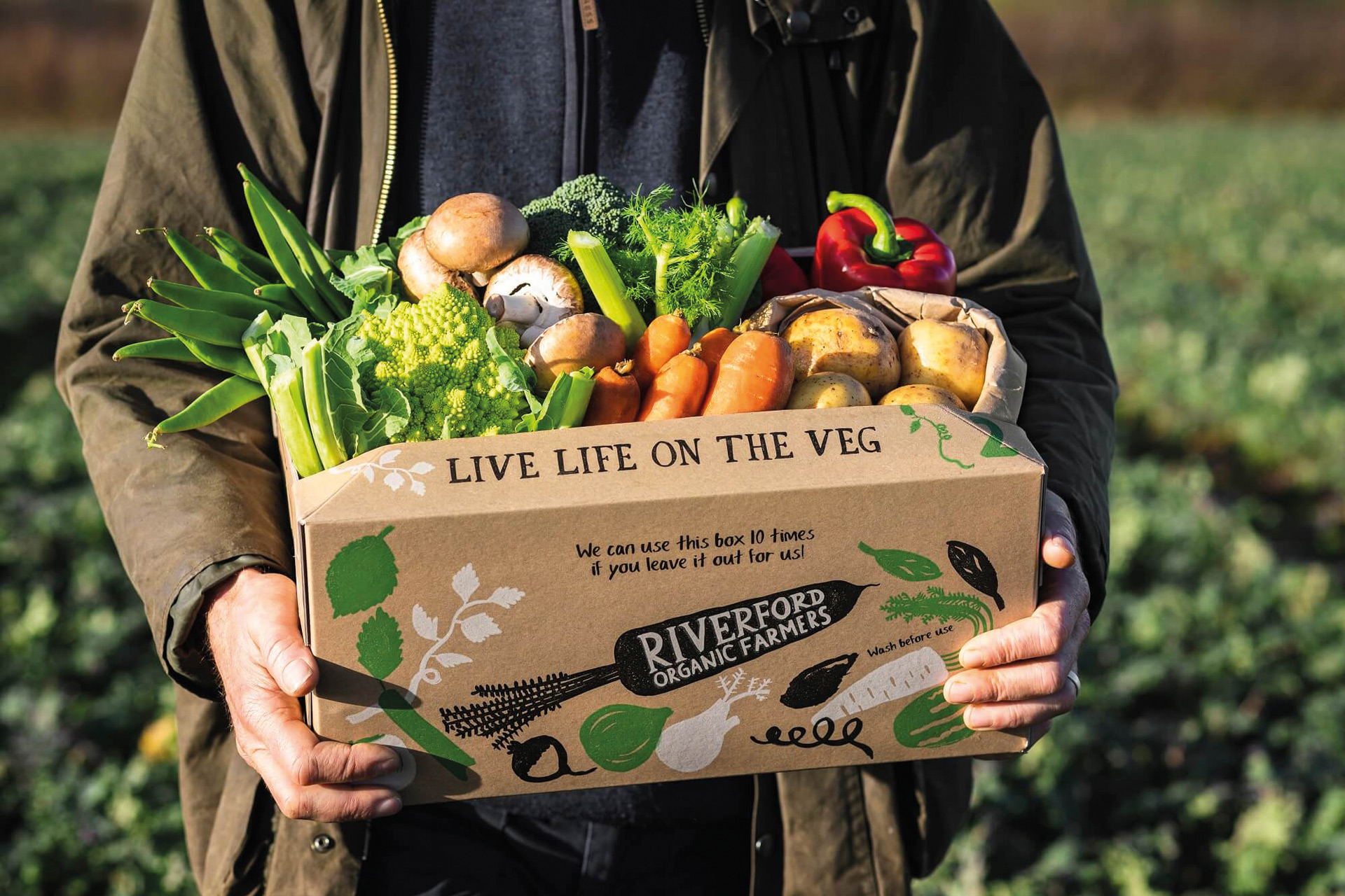 Box of fruit and vegetables from Riverford Organic Farmers