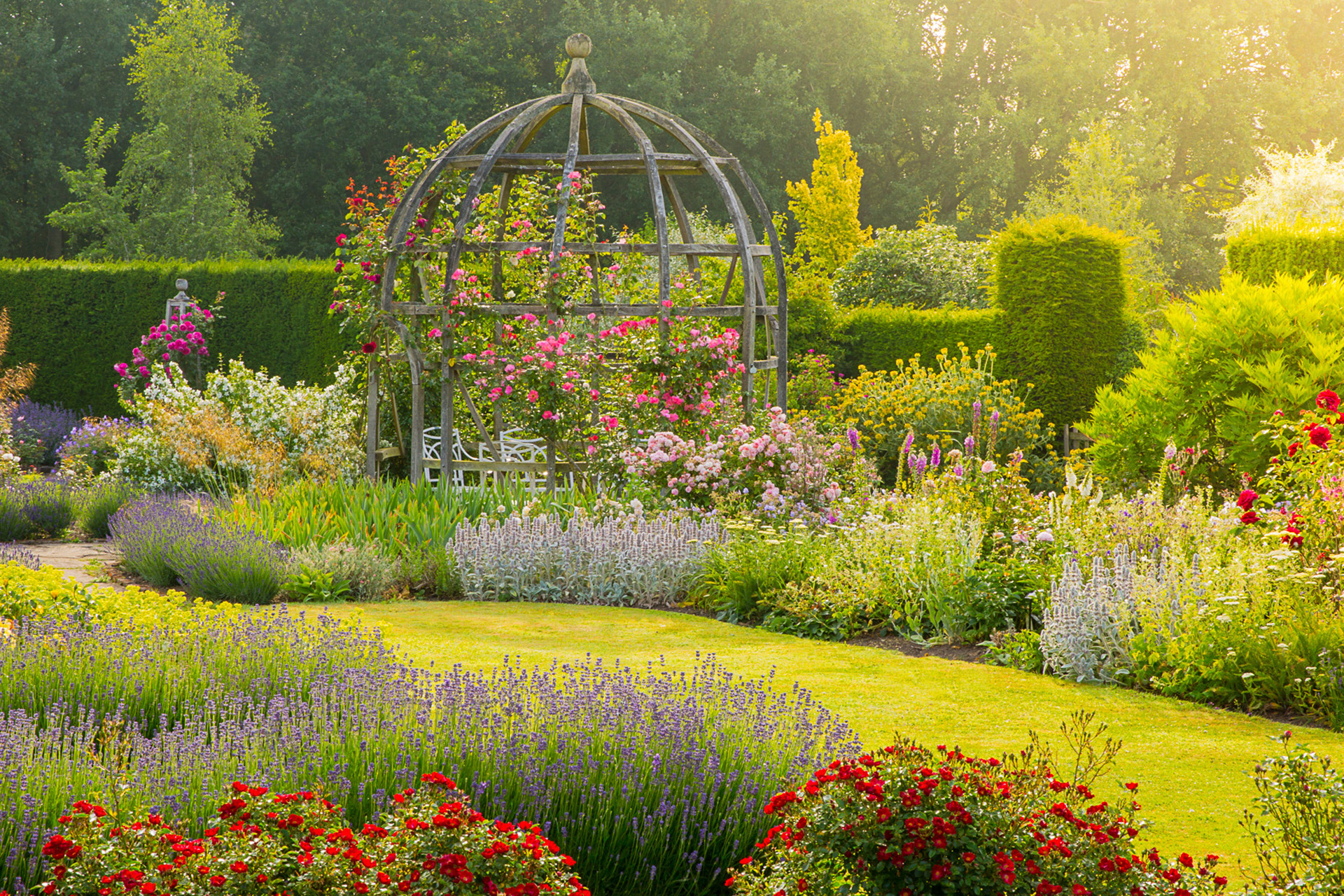 Flowers in Waterperry Gardens in Oxfordshire.