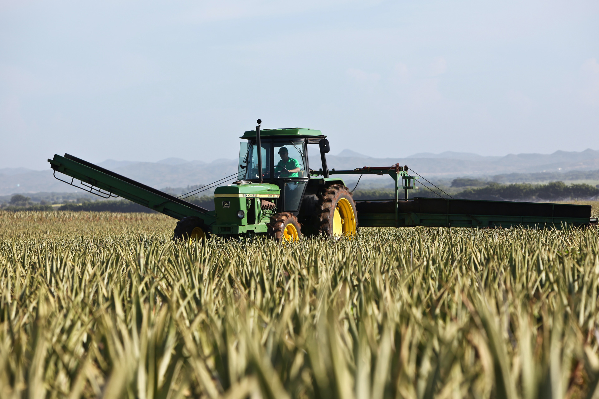 Combine harvester on a farm