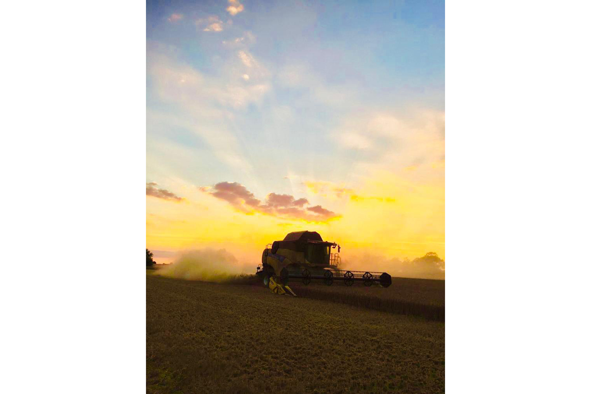 Combine harvester 