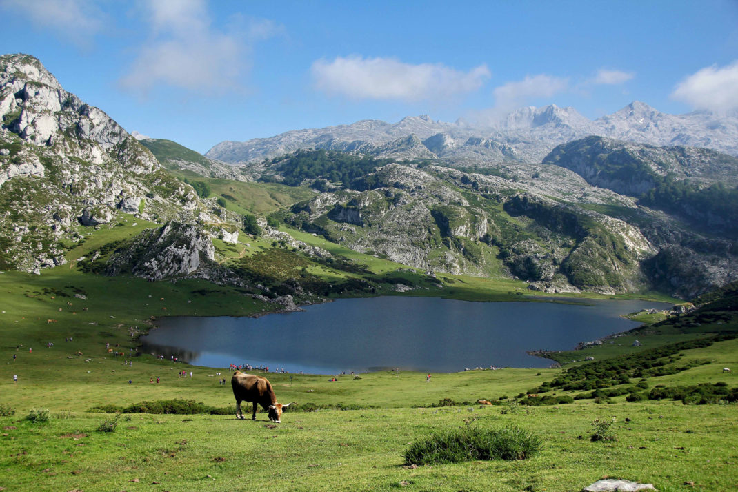 A natural scene in Europe with a cow in the foreground
