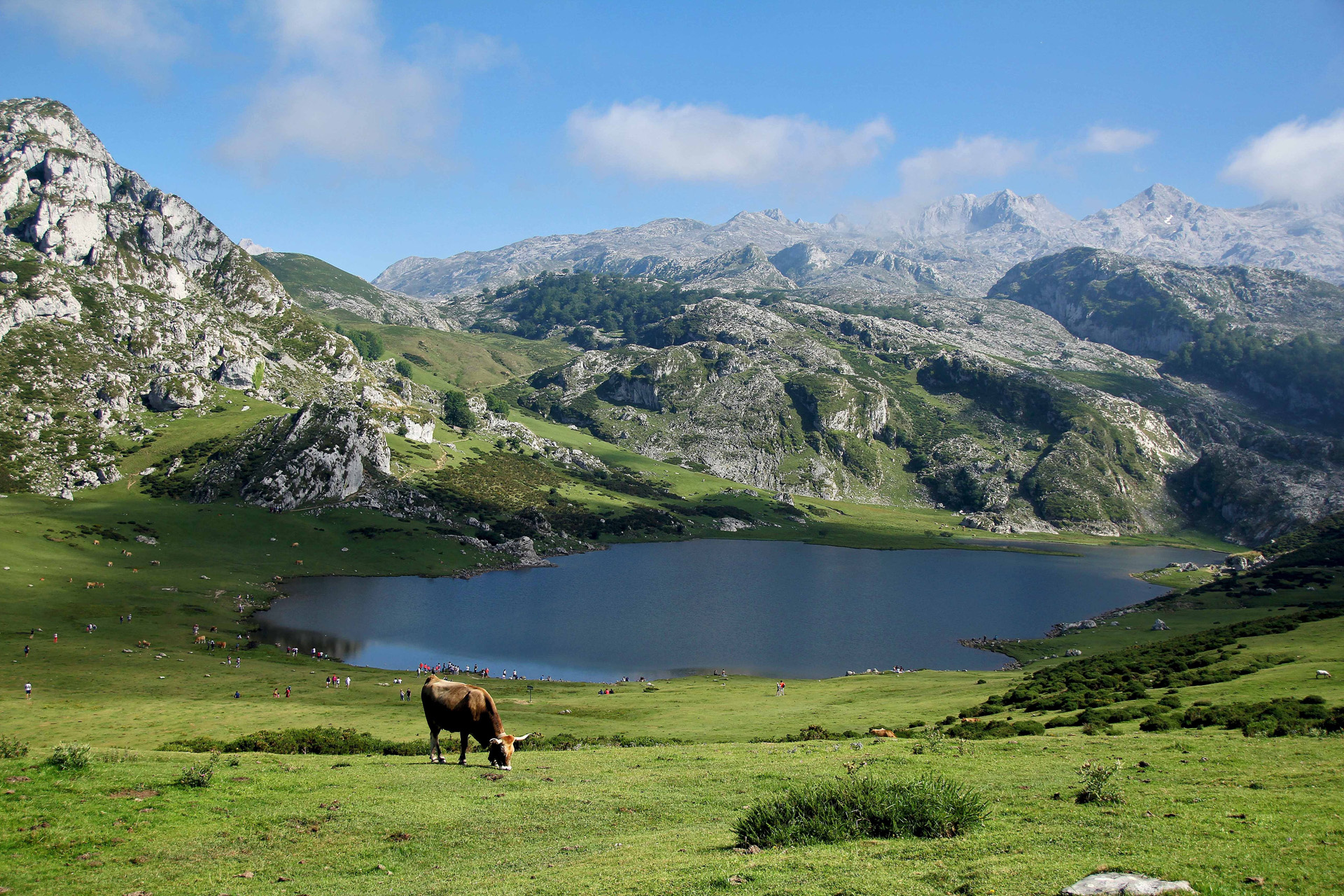 A natural scene in Europe with a cow in the foreground