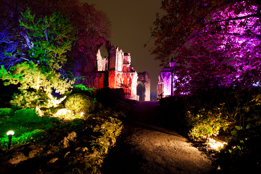 AGLOW Christmas Trail at The Auckland Project