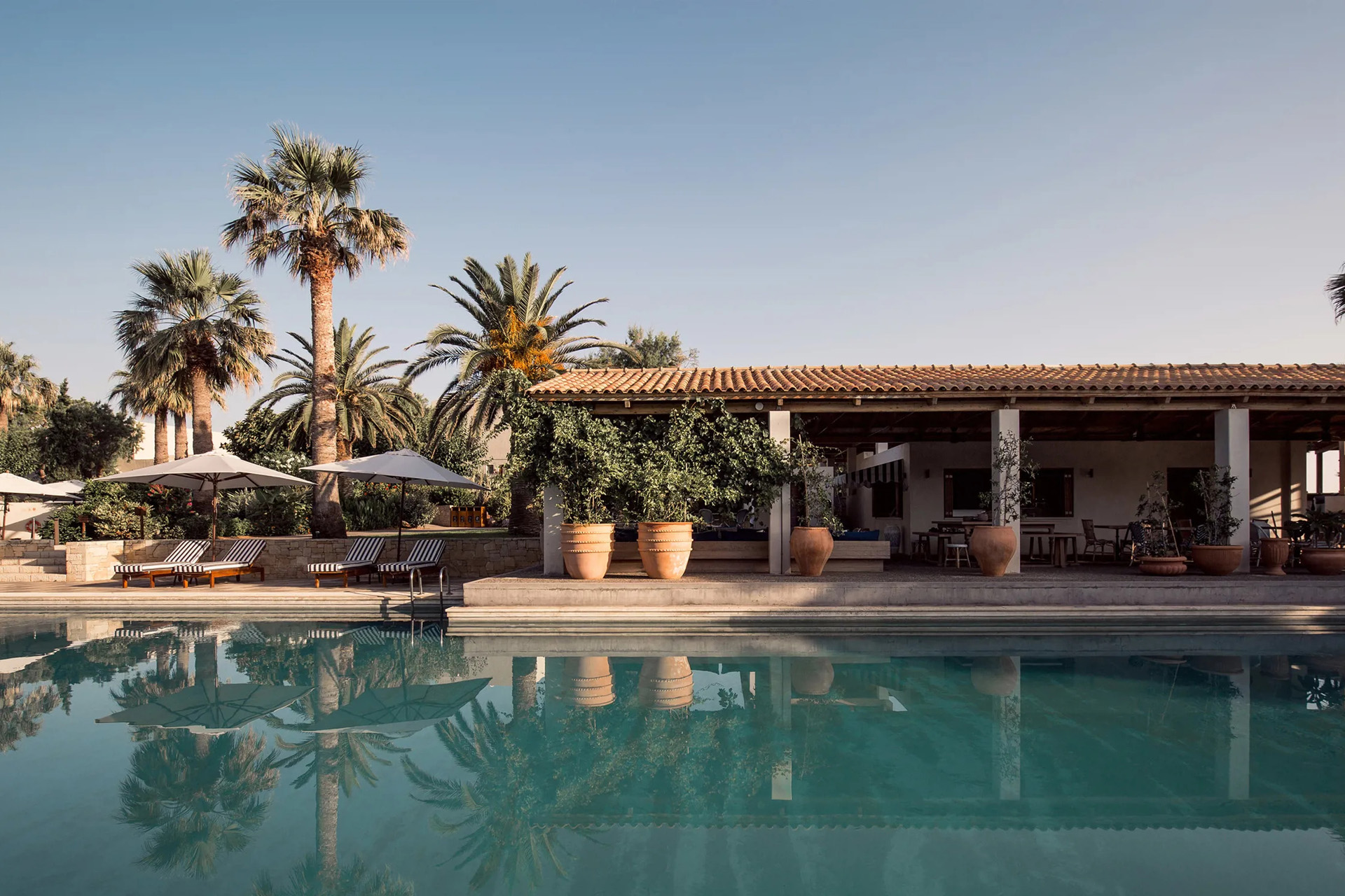 The pool and palm trees at Cretan Malia Park