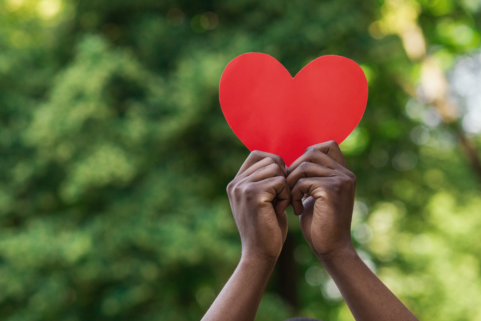 Hands holding up a red heart against a green background